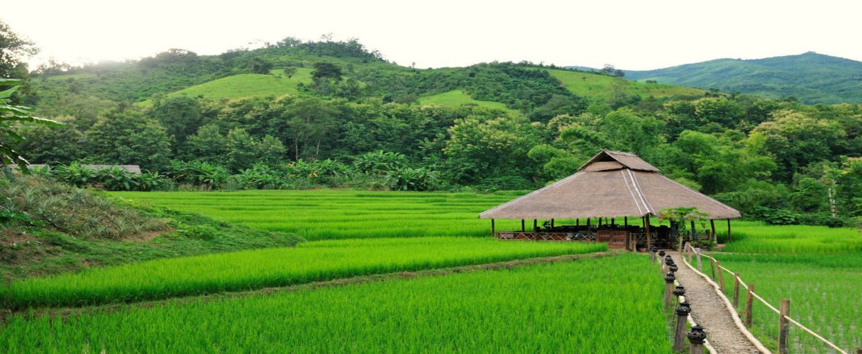kamu-lodge-laos-4
