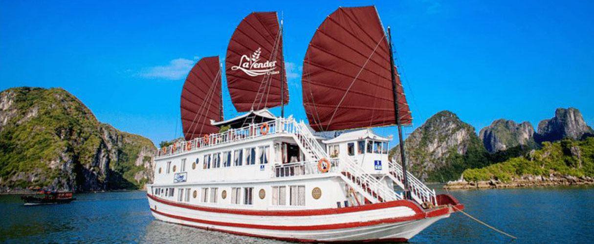 Lavender Cruise 3 days/2 nights