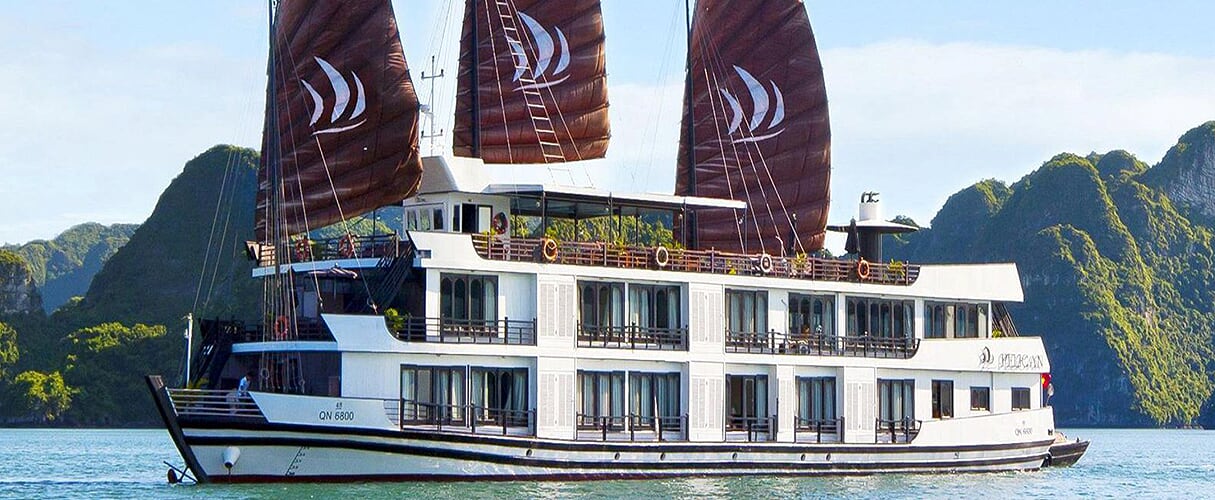 Pelican Cruise 3 days/ 2 nights