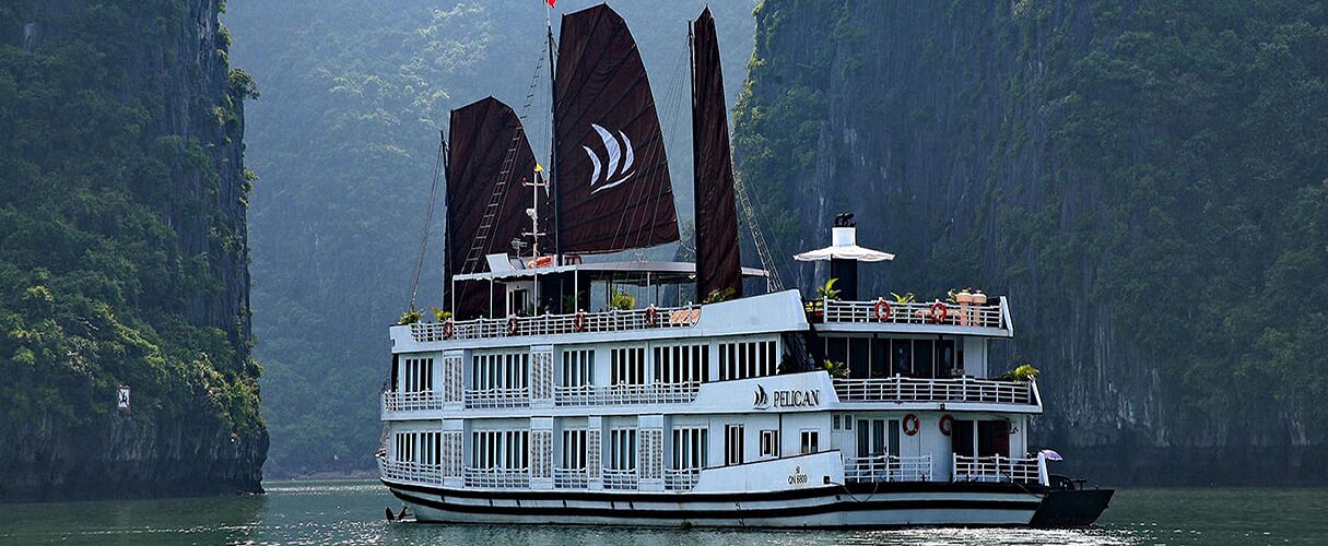 Pelican Cruise 2 days/ 1 night
