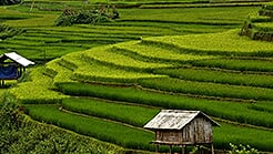 Private tour price