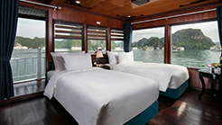 Premium cabin