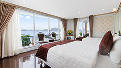 Premium suite
