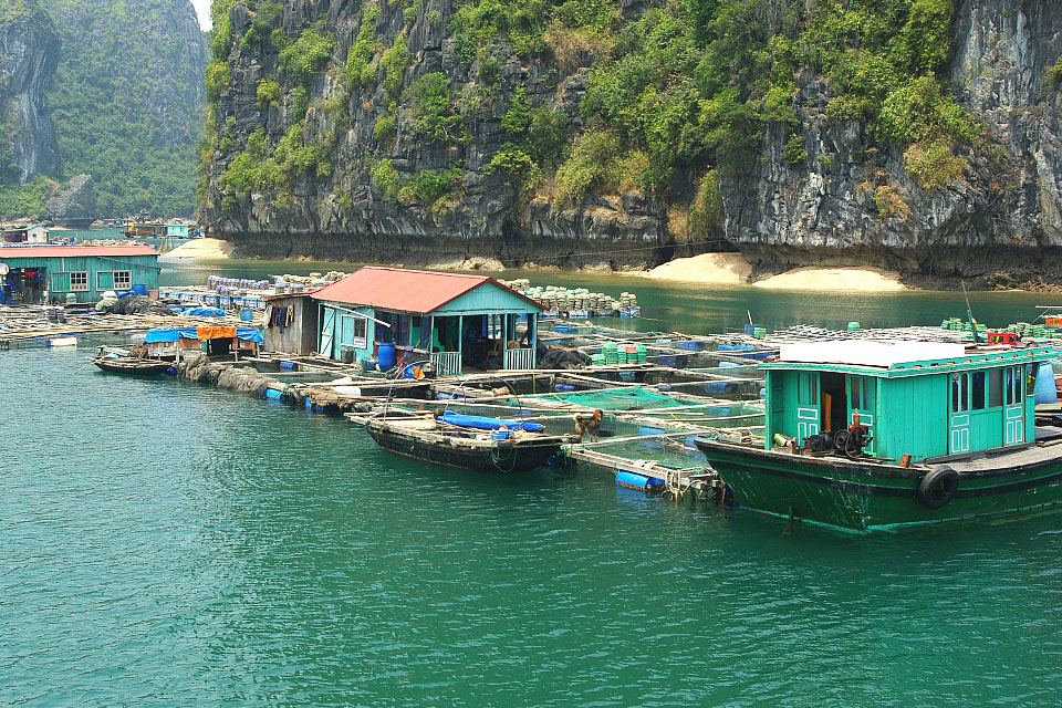 halong-cat-ba-island -3-days-2-nights-4