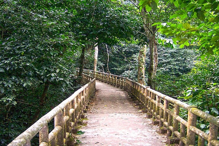 cuc-phuong-national-park-2