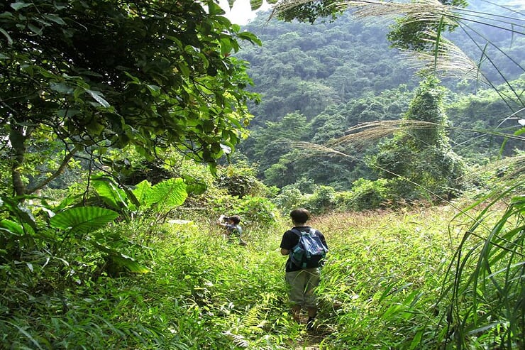 explore-beauty-of-cat-ba-national-park