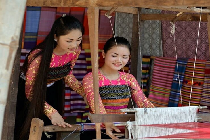 explore-the-charm-of-pom-coong