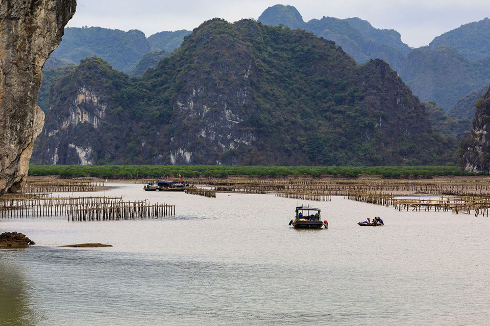 960-lan-ha-bay-view