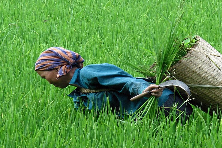 local-life