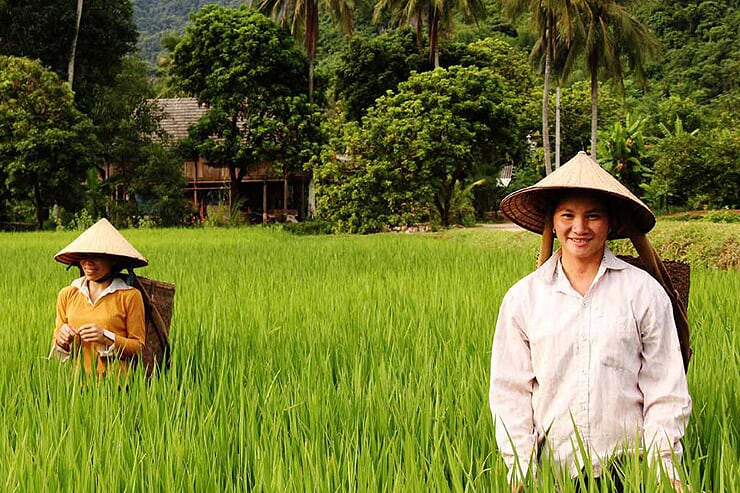 rice-paddies-in-mai-chau