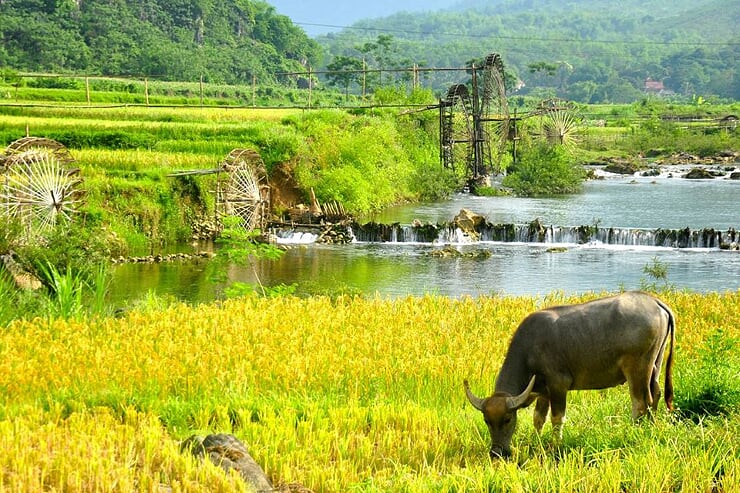 pu-luong-landscape