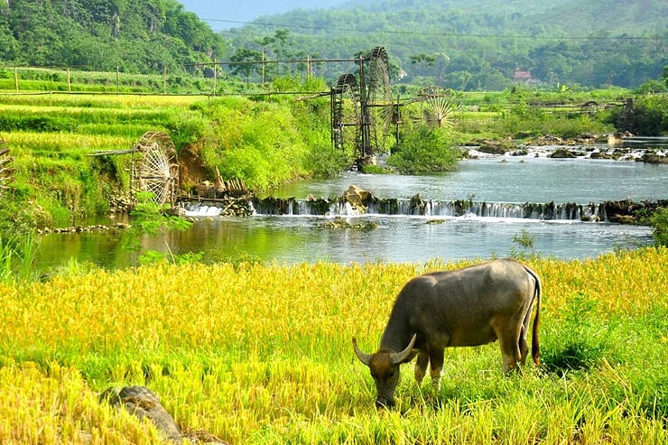 pu-luong-landscape
