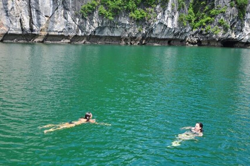 swimming-petit-white-dolphin-cruise