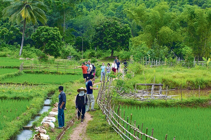 trekking