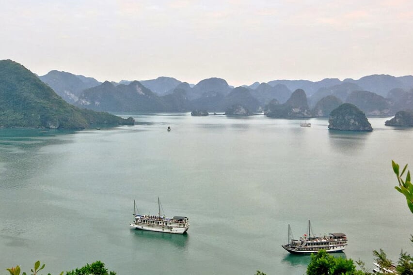 view-white-dolphin-cruise-2-days-1-night-1