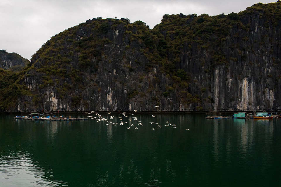 960-view-in-lan-ha-bay