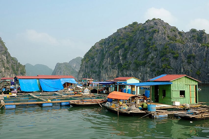 vung-vieng-village-petit-white-dolphin-private-cruise-2-days-1-night