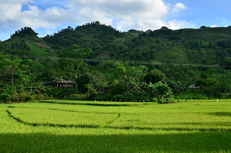 son-village-2