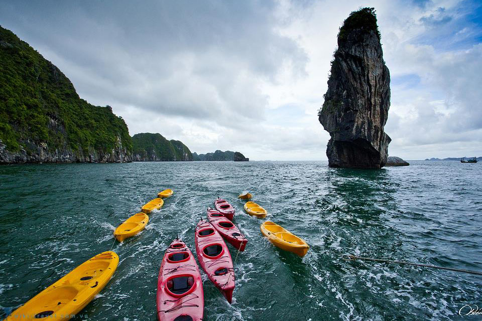 kayaks