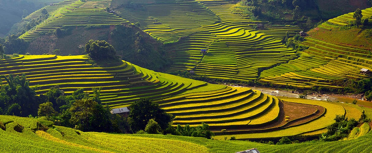 Sapa Medium Trek 3D4N (hotel stay) by train