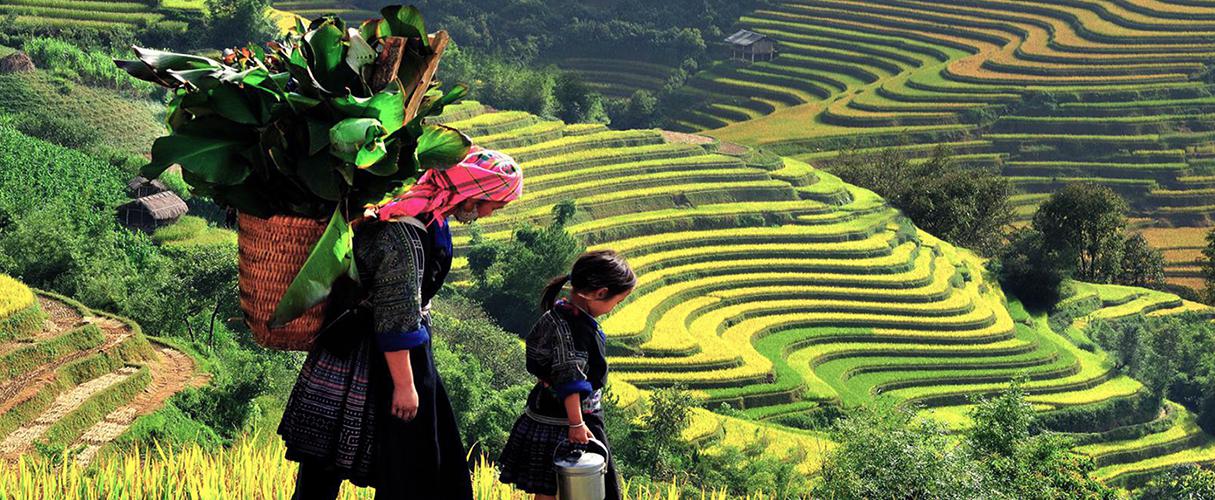 Northern Vietnam - from mountain to the sea 16 days