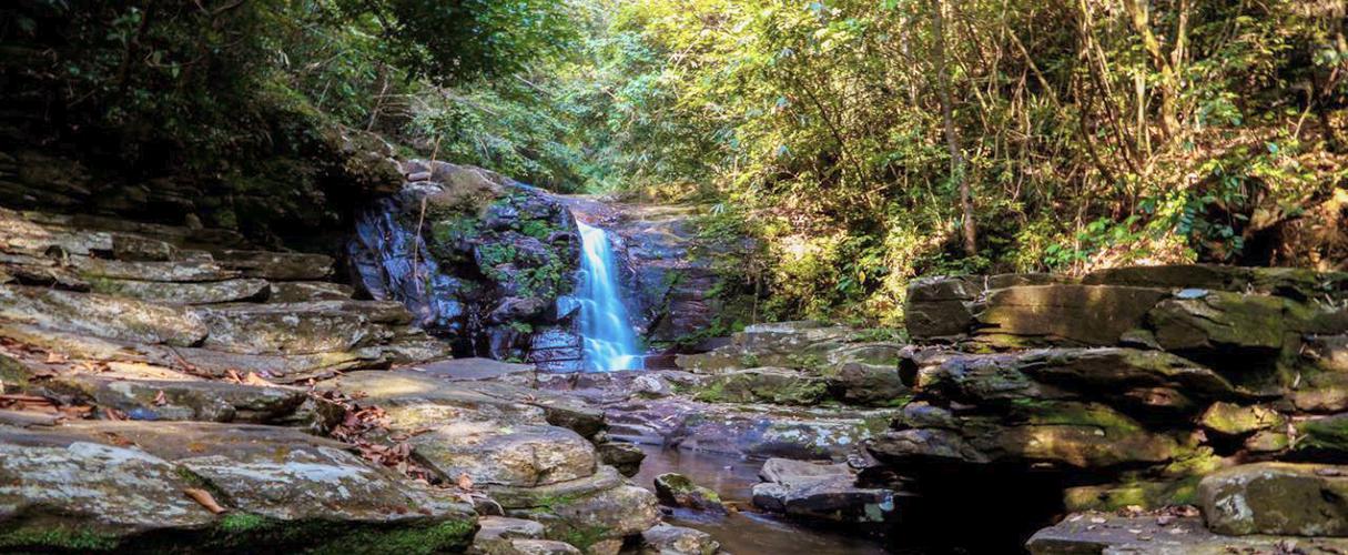Bach Ma National Park full day from Hue city