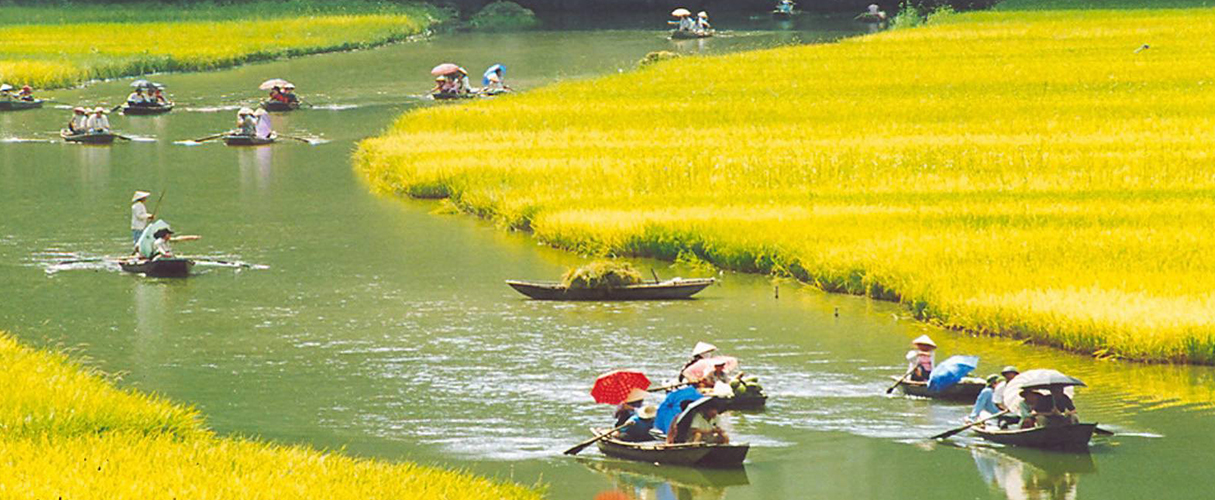 Hoa Lu - Tam Coc full day group tour