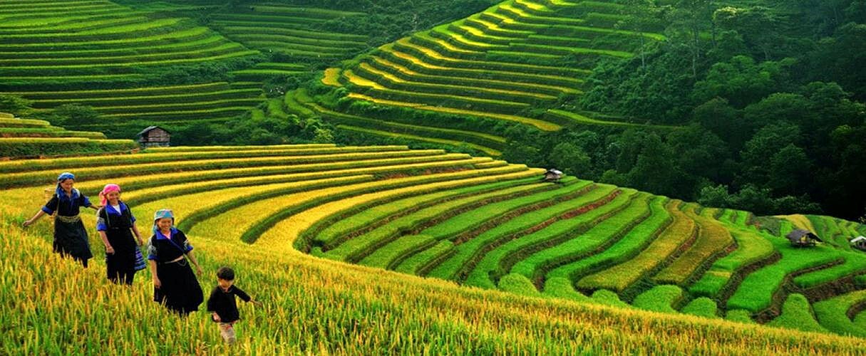 Combo Halong - Sapa 4 days by bus