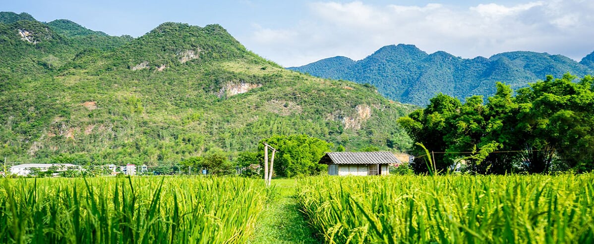 Complete Escape 3 days/ 2 nights