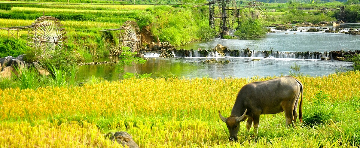 Pu Luong Retreat 3 days/ 2 nights