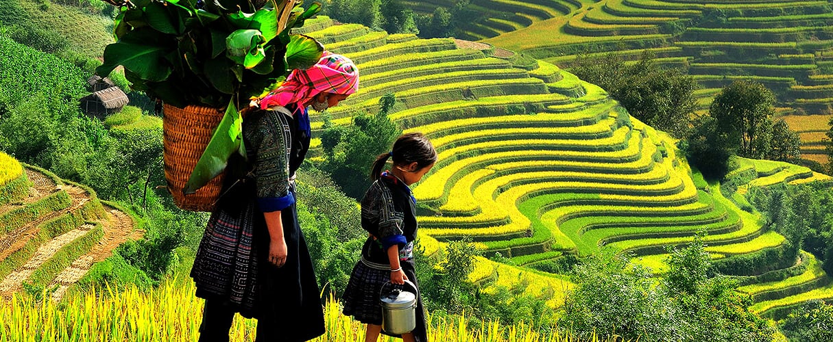 Sapa Easy Trek 2D3N (homestay) by train