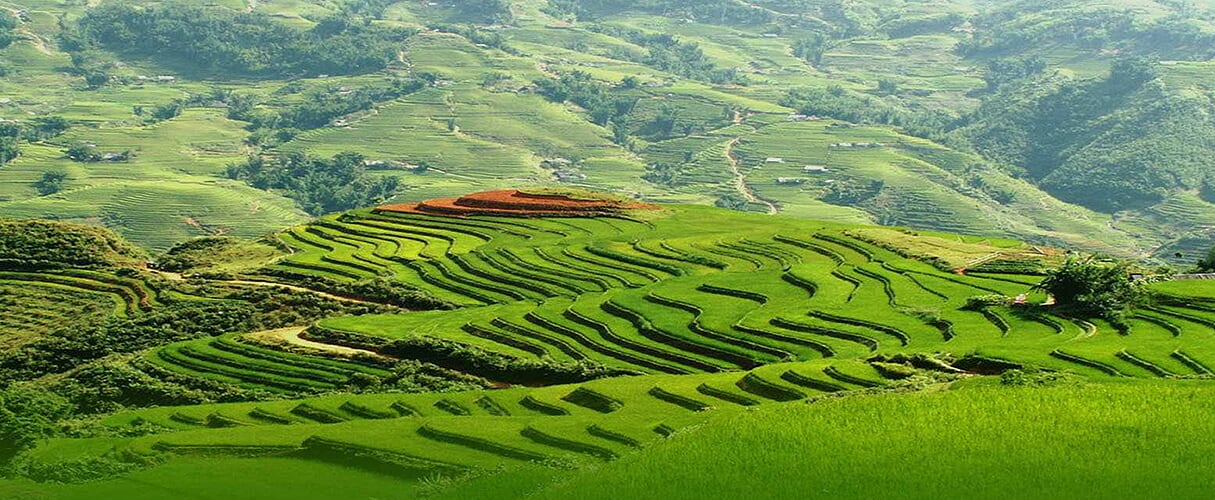 Sapa Hard Trek 5D6N by train