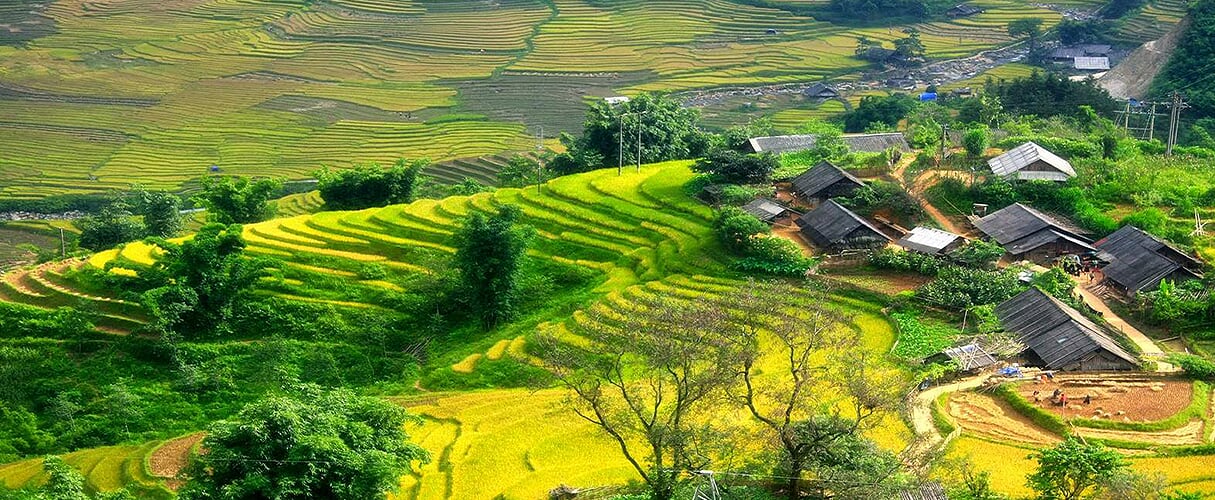 Sapa Easy Trek with Bac Ha Market 2D3N by train