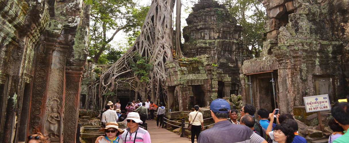 Amazing Temple 2 days/ 1 night