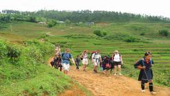 Group tour