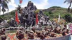 Group Tour