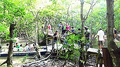Group tour 
