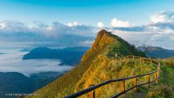 Private tour - 4hrs