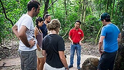 Morning Group tour