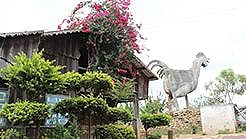 Private Tour