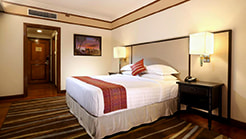 Luxury package