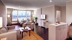 Luxury package