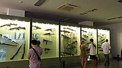 Group tour