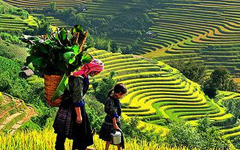 Sapa Easy Trek 2D3N (homestay) by train