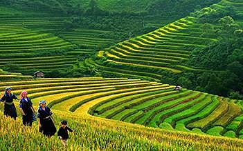 Combo Halong - Sapa 4 days by bus