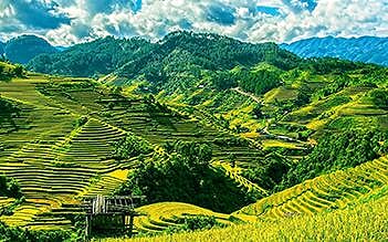 Combo Hanoi - Sapa - Halong 5 days by train