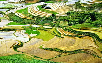  Suoi Hoa - Matra - Ban Khoang - Ta Giang Phing 2D3N by train