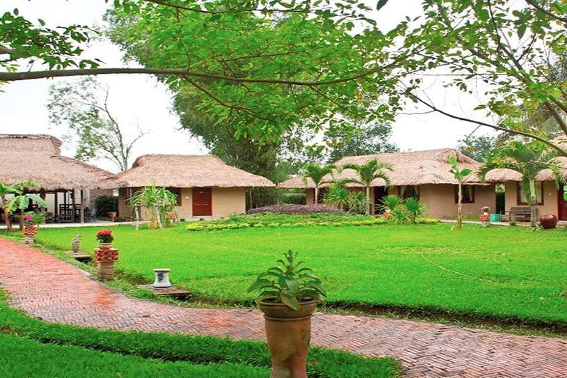 experience-local-life