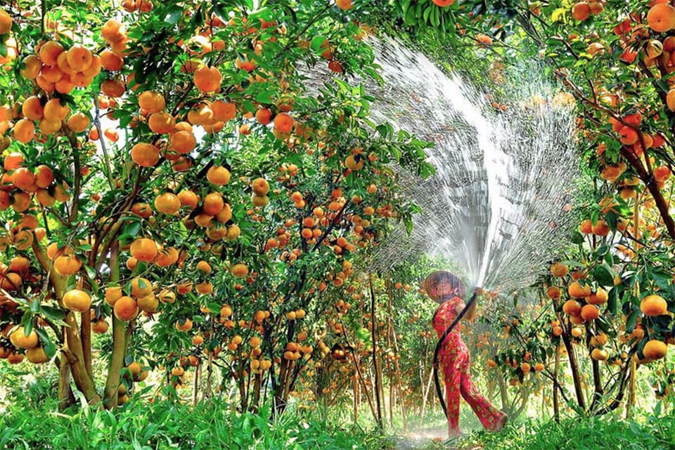 vietnam-cambodia-luxury-tour-9