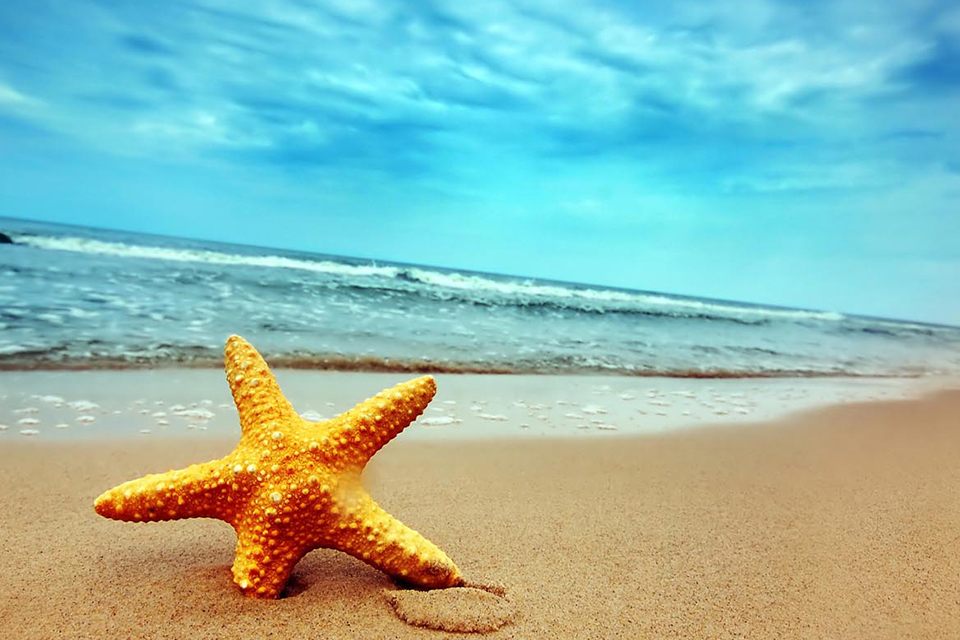 bai-dai-phu-quoc-honeymoon-4days-1